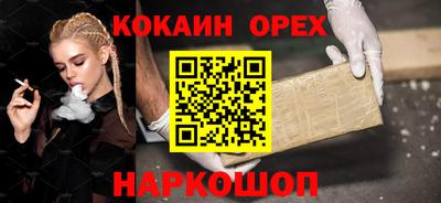 Альфа ПВП Бийск