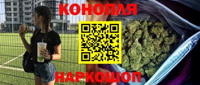 Альфа ПВП Бийск
