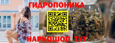 Альфа ПВП Бийск