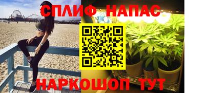 Альфа ПВП Бийск