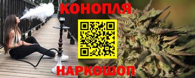 Альфа ПВП Бийск