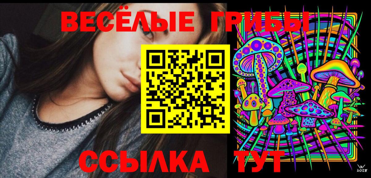 как найти   Галлюциногенные грибы MAGIC MUSHROOMS  Псилоцибиновые грибы мухоморы  Вход с VPN  Коломна 